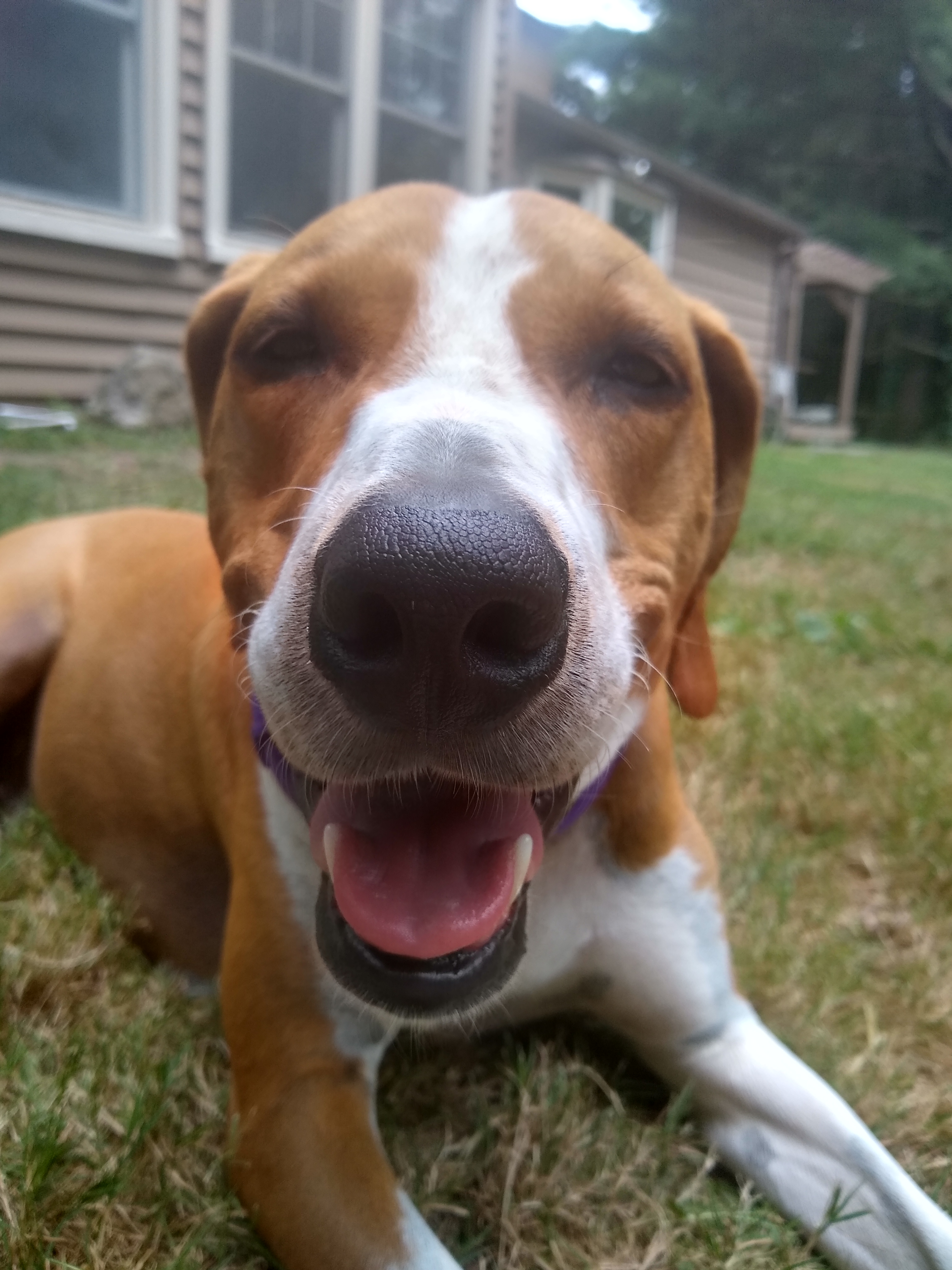 Zeke
