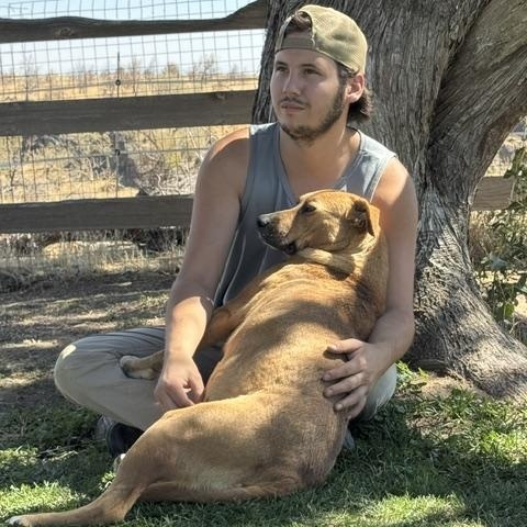 Enlarge Billy and Butter, a Adoptable mixed breed in Madras, OR image 2/4