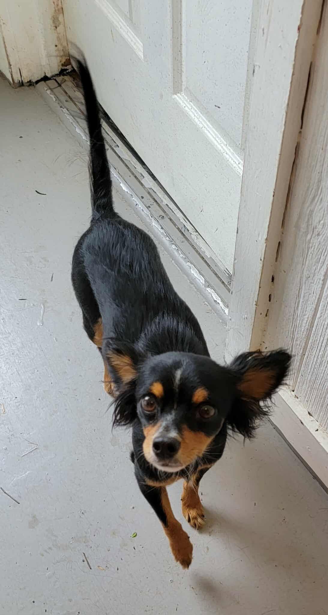 Charlie