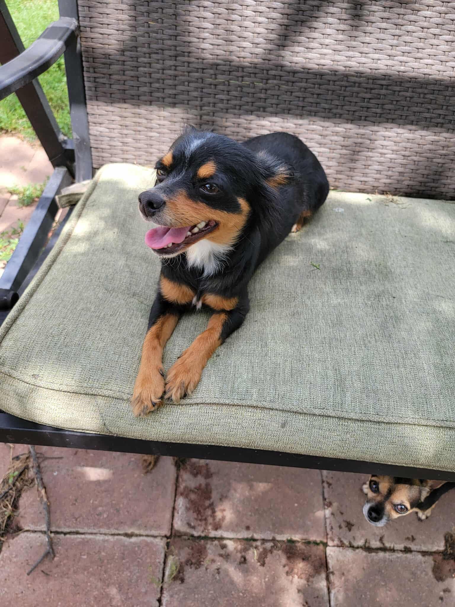 Charlie