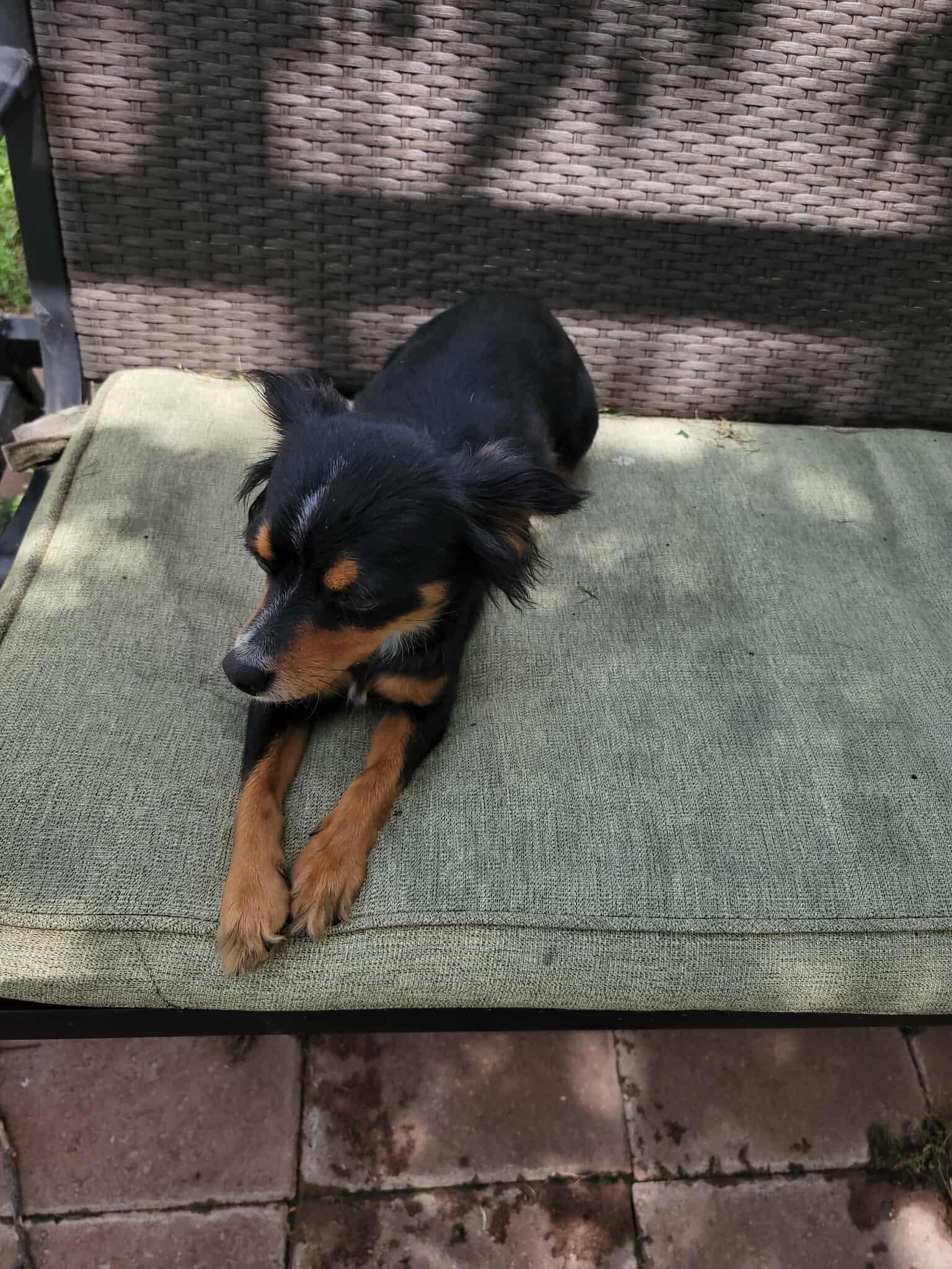 Charlie