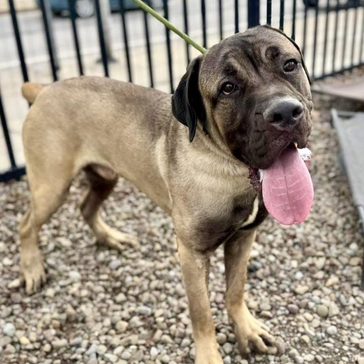 Bruce — thumbnail 3