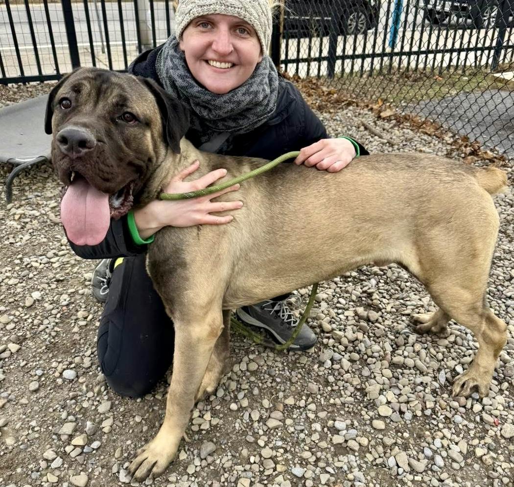 Bruce — thumbnail 4