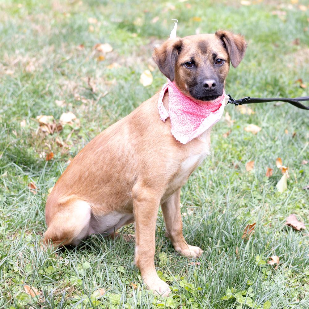 Ariel  (Female)    Avail  11/1