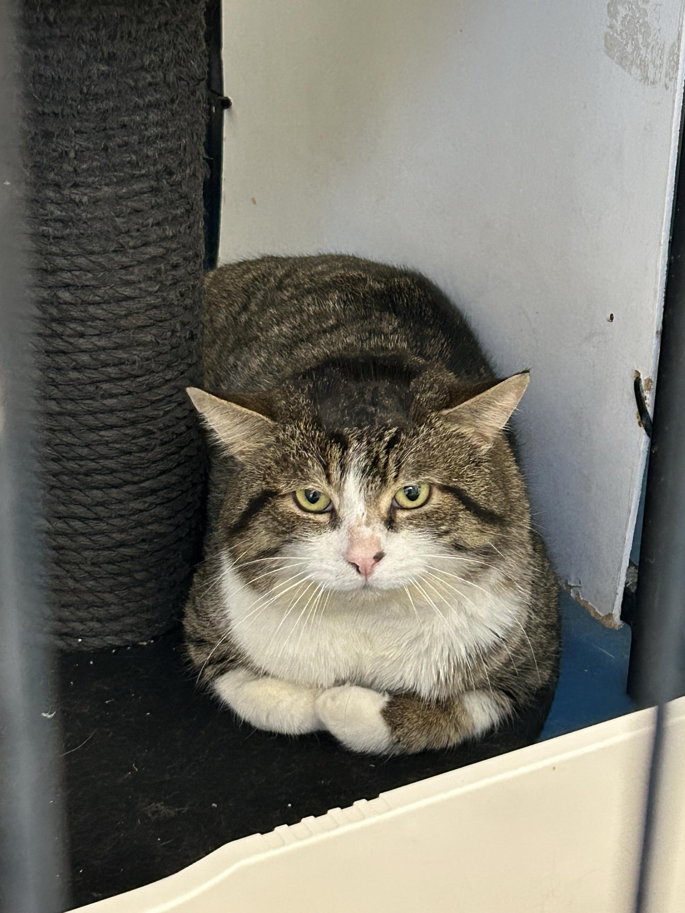 Jimmy — thumbnail 2