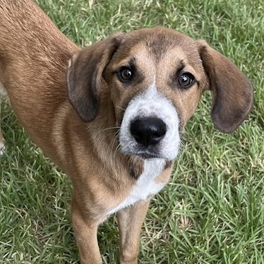 Tessie (Fee reduced until 12/15)
