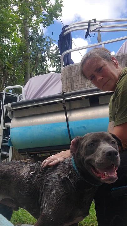 Enlarge Duke, a Adoptable mixed breed in North Miami, FL video 5/6