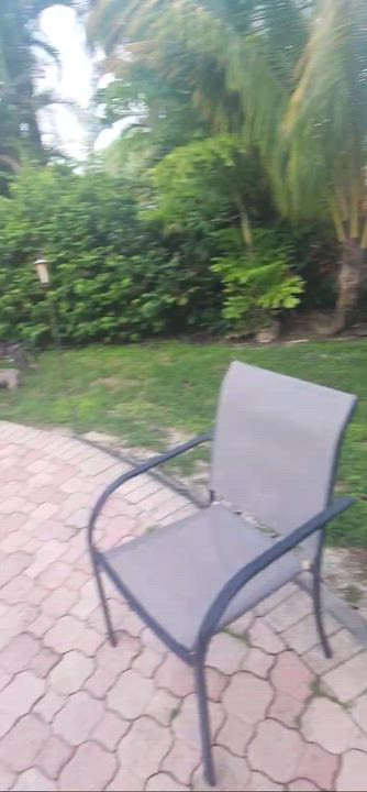 Enlarge Duke, a Adoptable mixed breed in North Miami, FL video 6/6