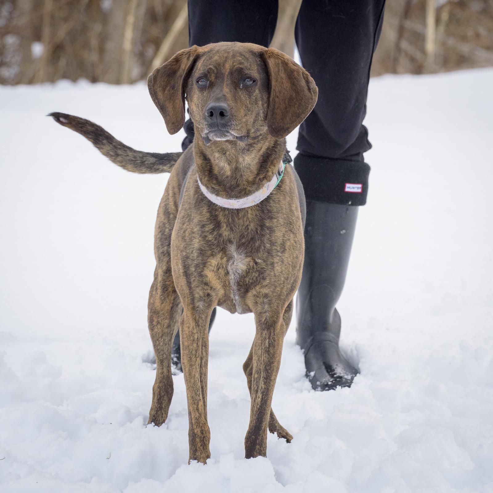 Sweet Pea — thumbnail 2