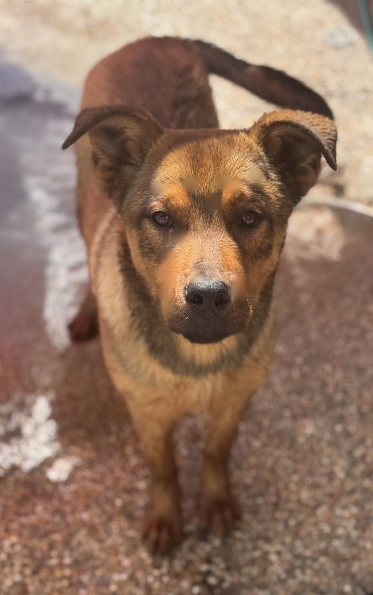 CHARLIE