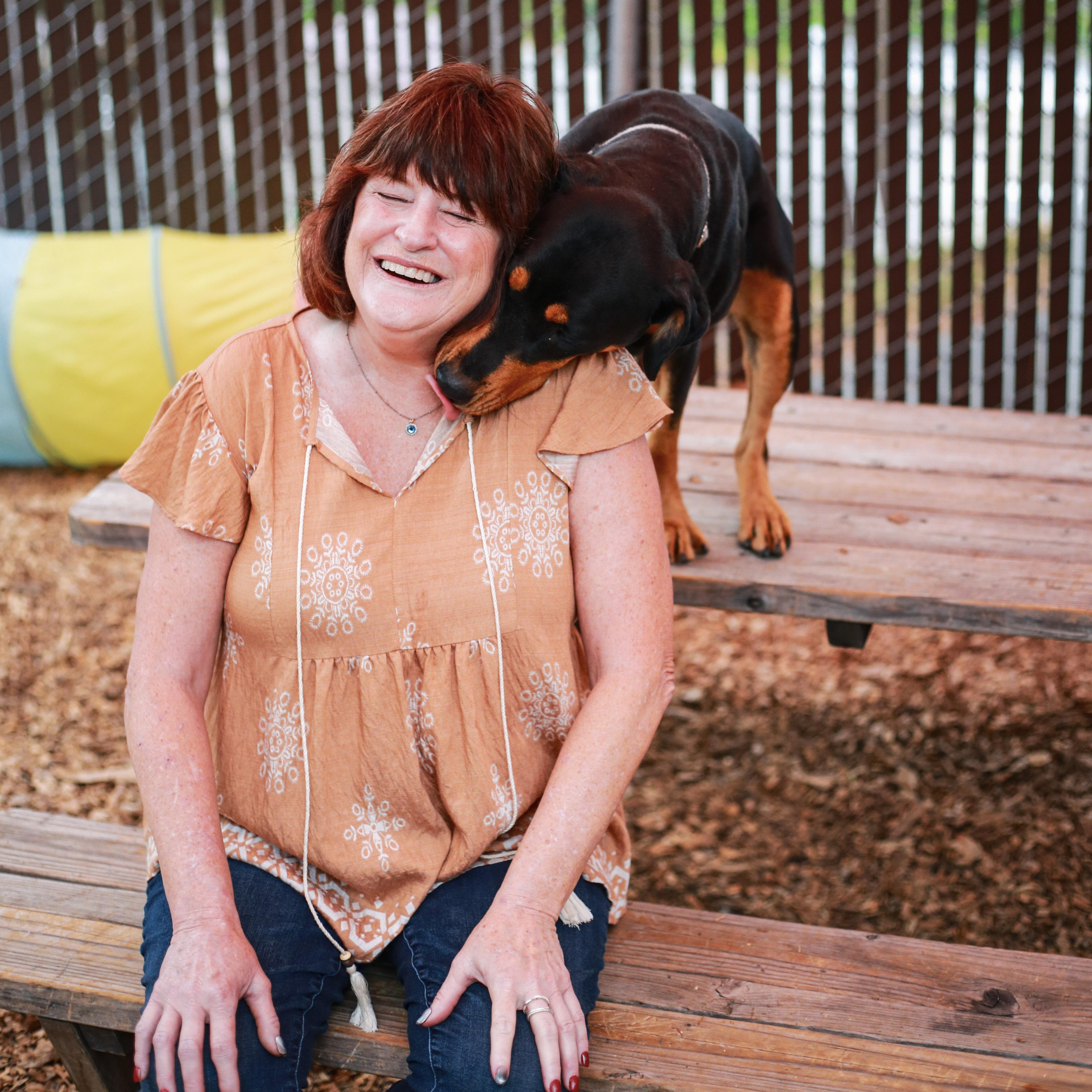Enlarge Annie- Precious Girl, an adopted mixed breed in Grass Valley, CA image 3/5