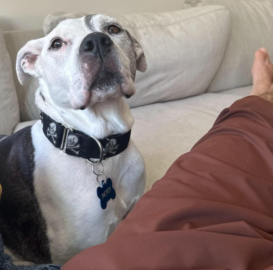 Petey