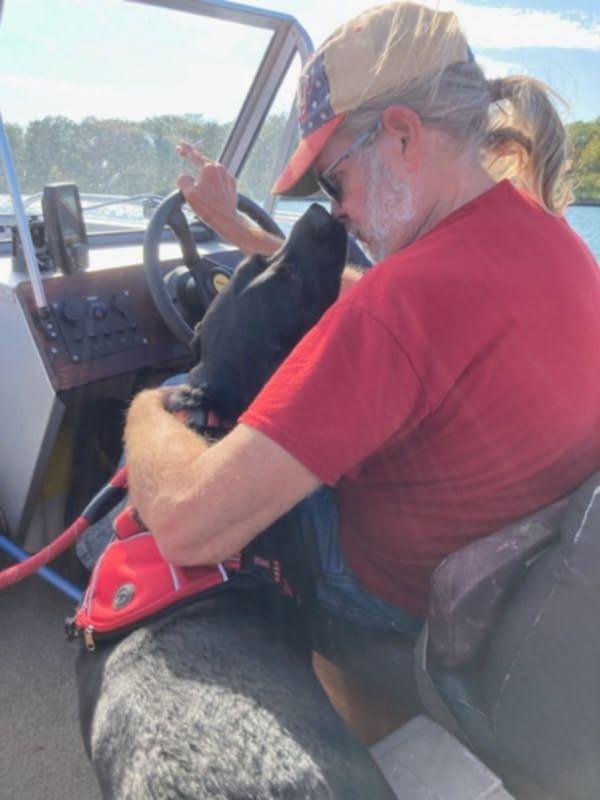 Enlarge Shadow, an adopted mixed breed in Royal Oak, MI image 2/4