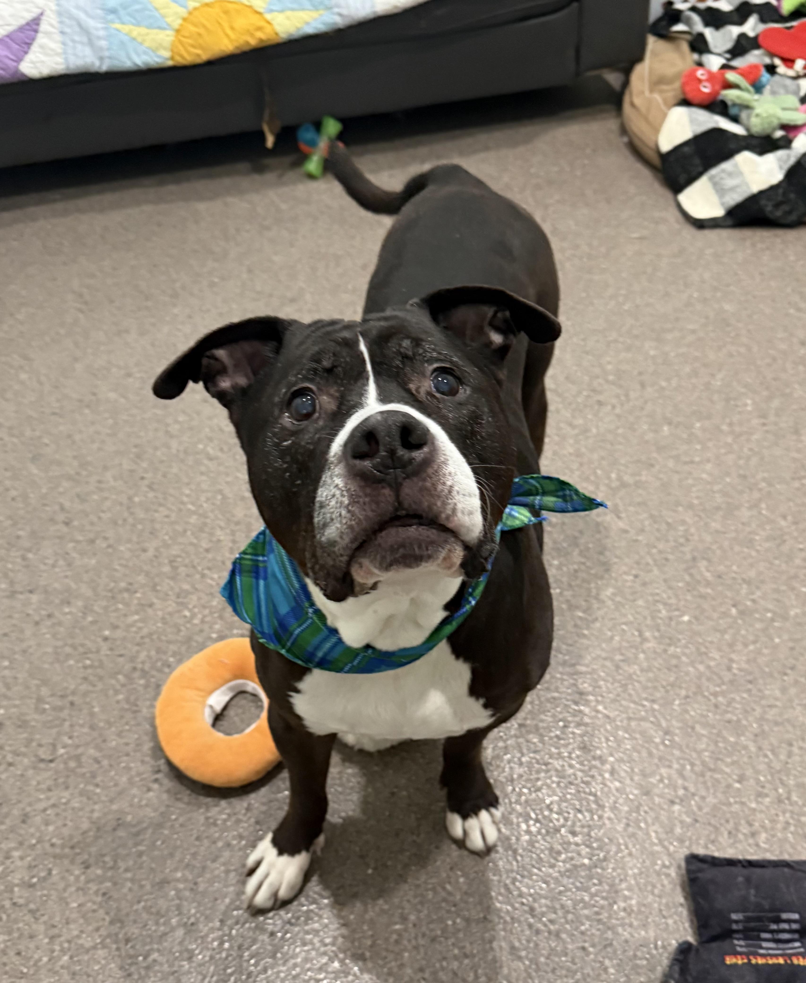 Flash — thumbnail 2