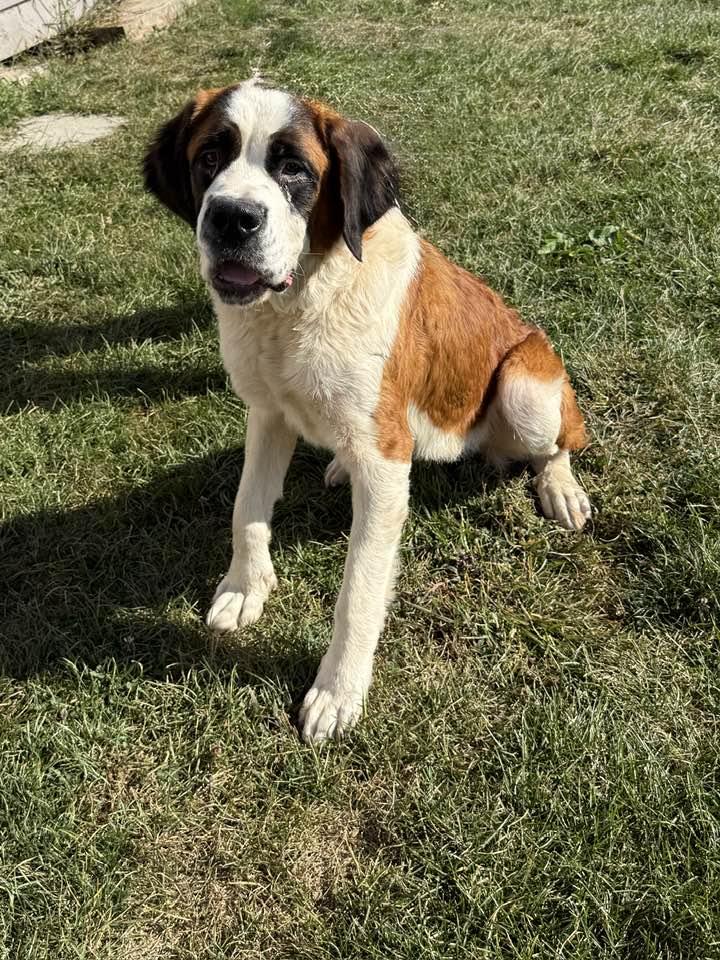 Oakley