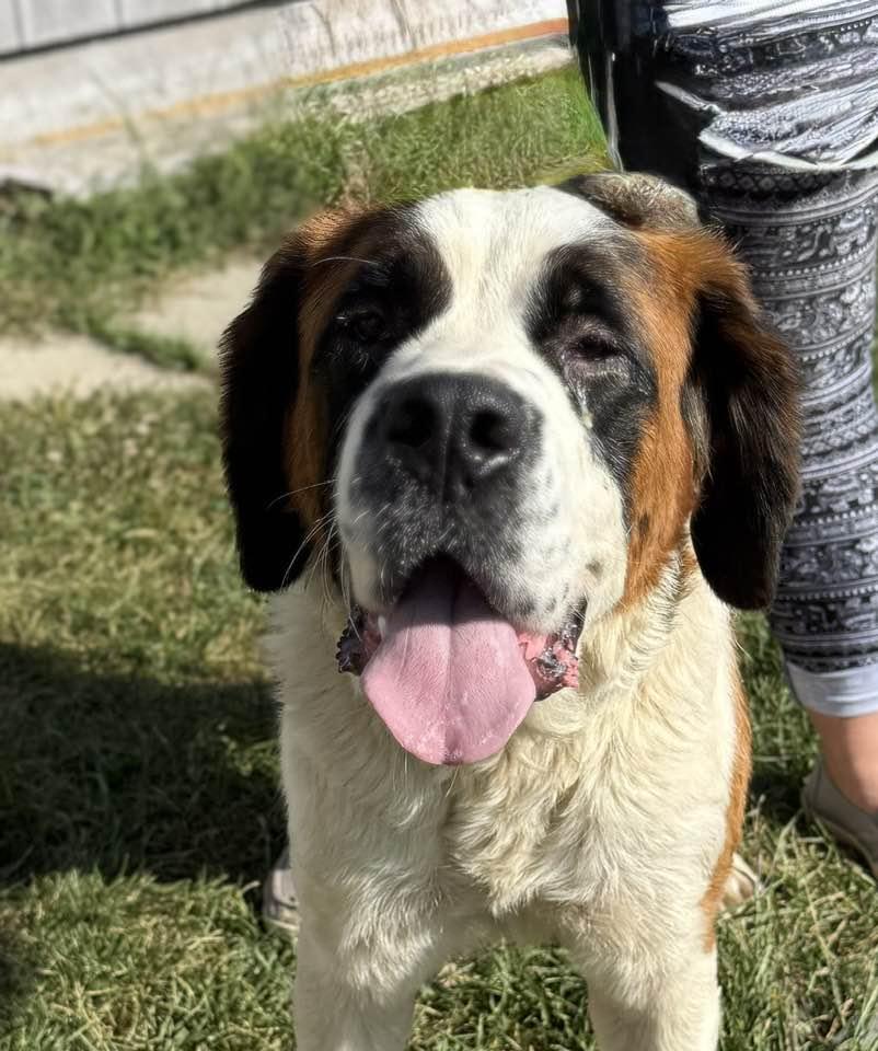 Oakley