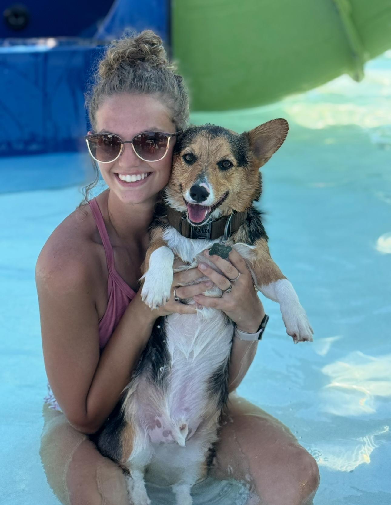 Henry! Sweet Corgi Butt! thumbnail 6