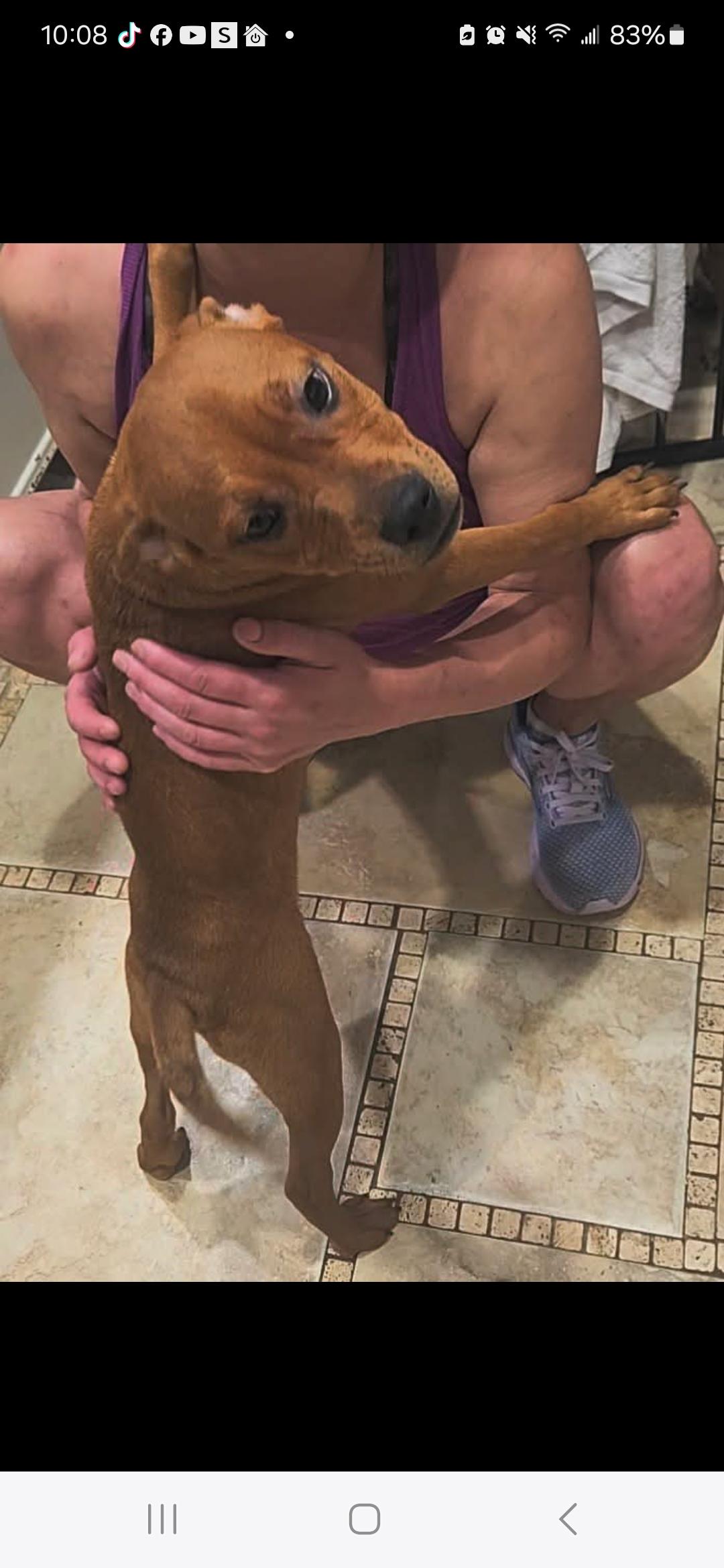 Brooklyn thumbnail 2