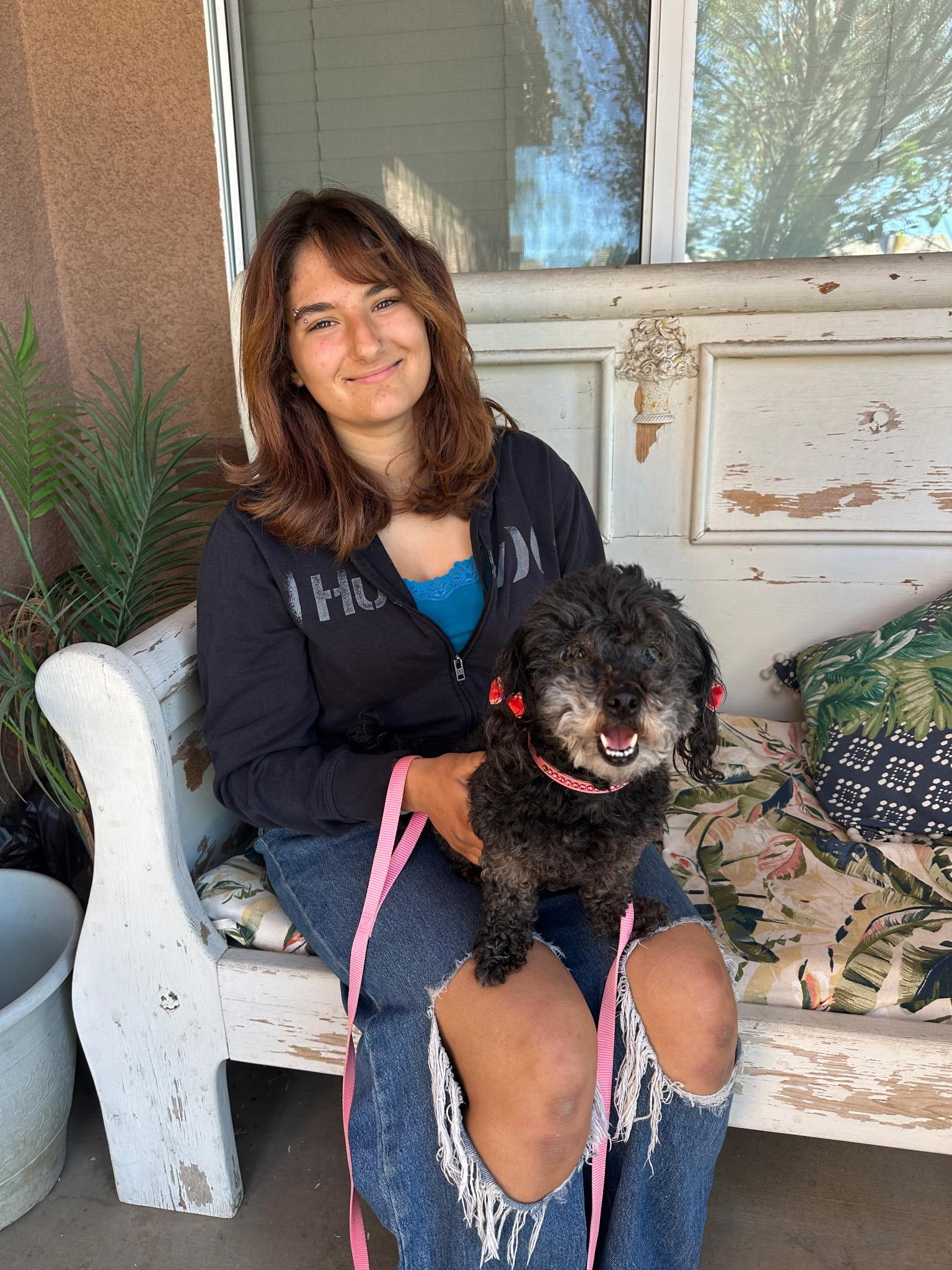 Britney Spears, an adoptable mixed breed in Murrieta, CA image 4/5