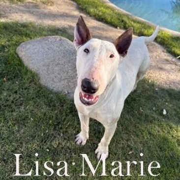 Lisa Marie