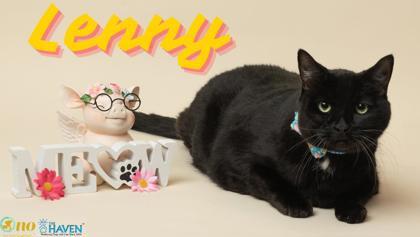 Enlarge Lenny, a Adoptable mixed breed in Fairhope, AL image 1/2