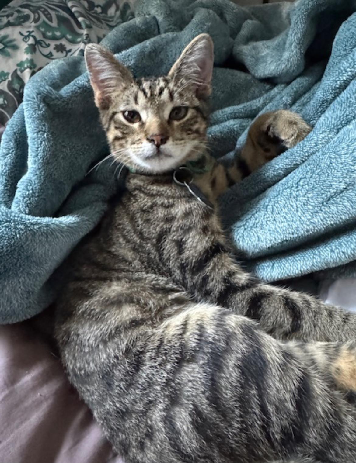 Bonus SweetBoy FosterHome