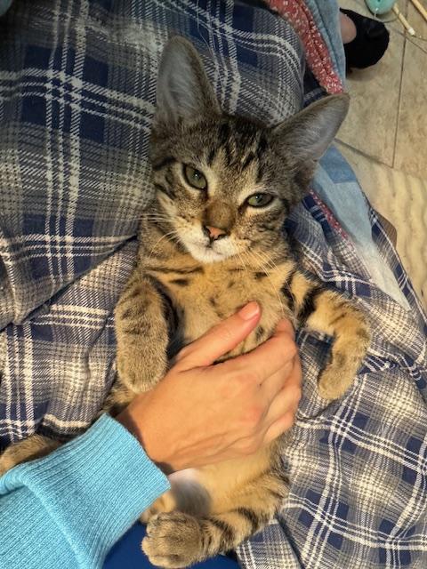 Bonus SweetBoy FosterHome