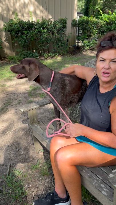 Enlarge JoJo, an adopted German Shorthaired Pointer in Warwick, RI video 4/4