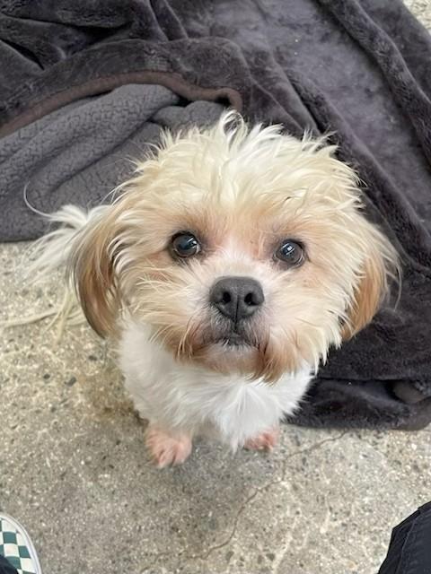 Davey Pimento thumbnail 2