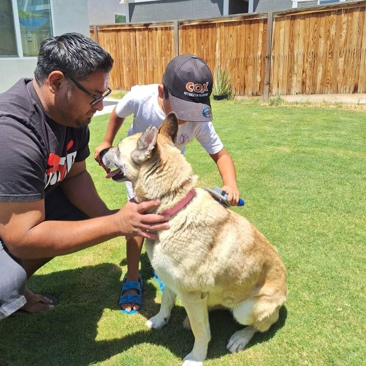 Cherokee, a Adoptable mixed breed in La Honda, CA image 4/6