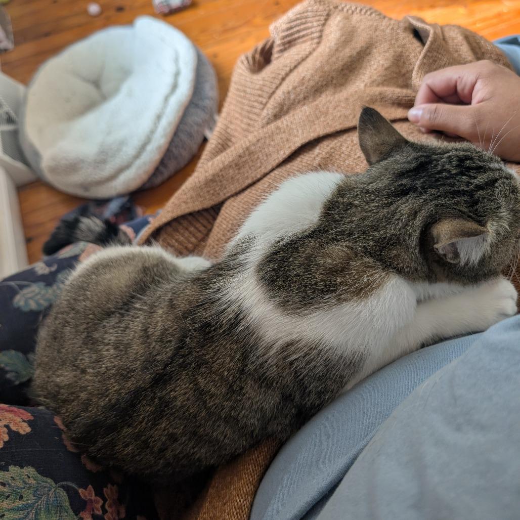 K.Sanders — thumbnail 5