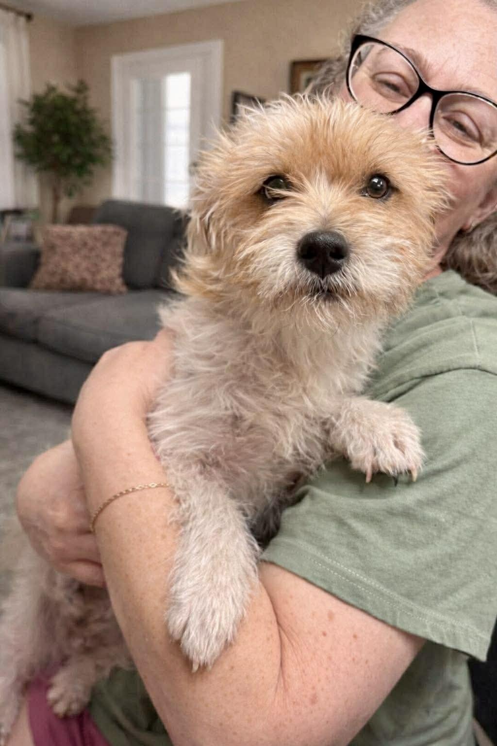 Enlarge Muppet, an adopted mixed breed in Chester , VA image 2/6