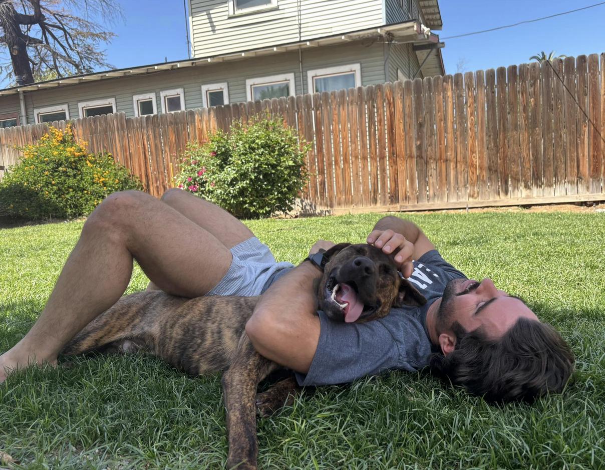 Enlarge Monkey, a Adoptable mixed breed in San Francisco, CA image 1/4