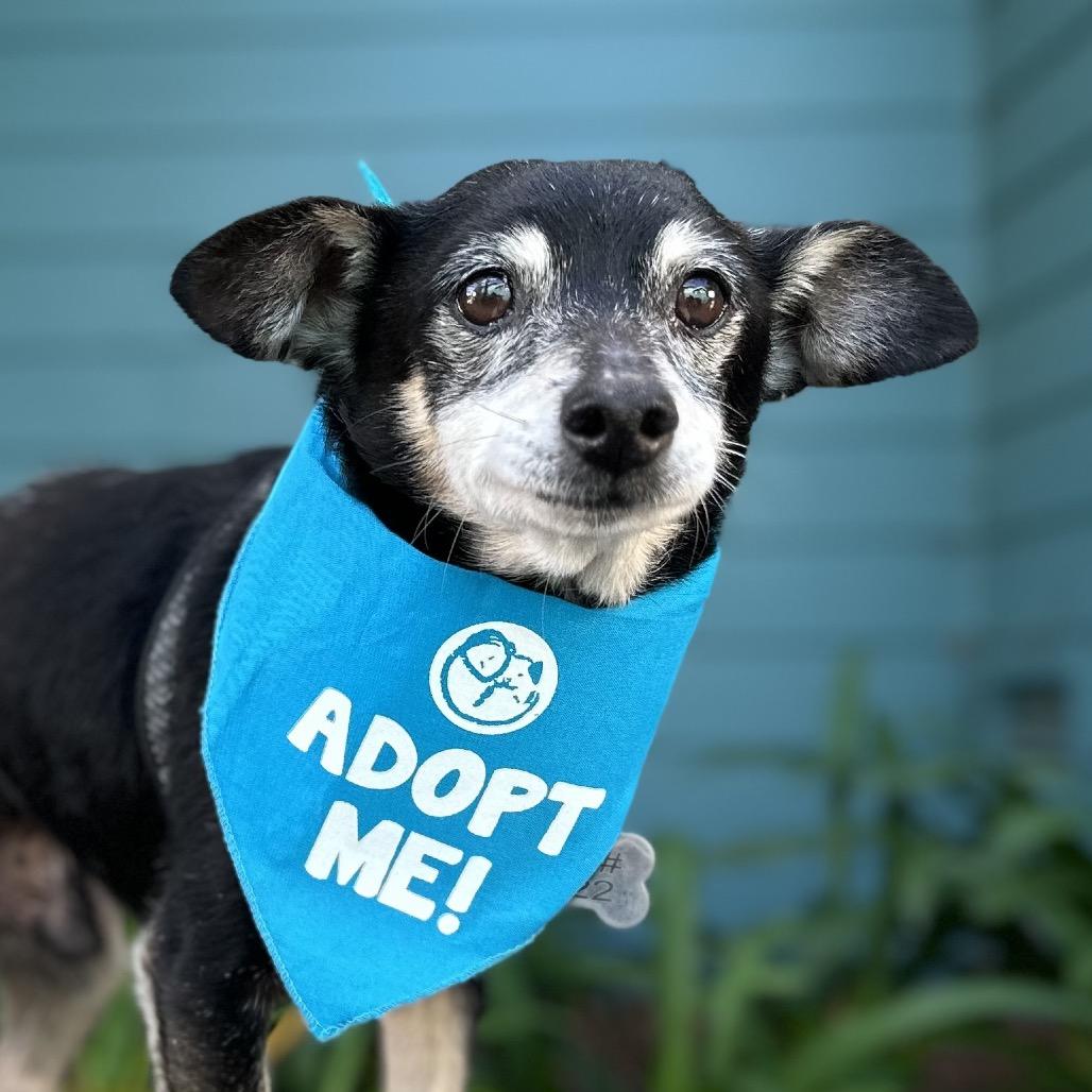 Aragorn — thumbnail 4