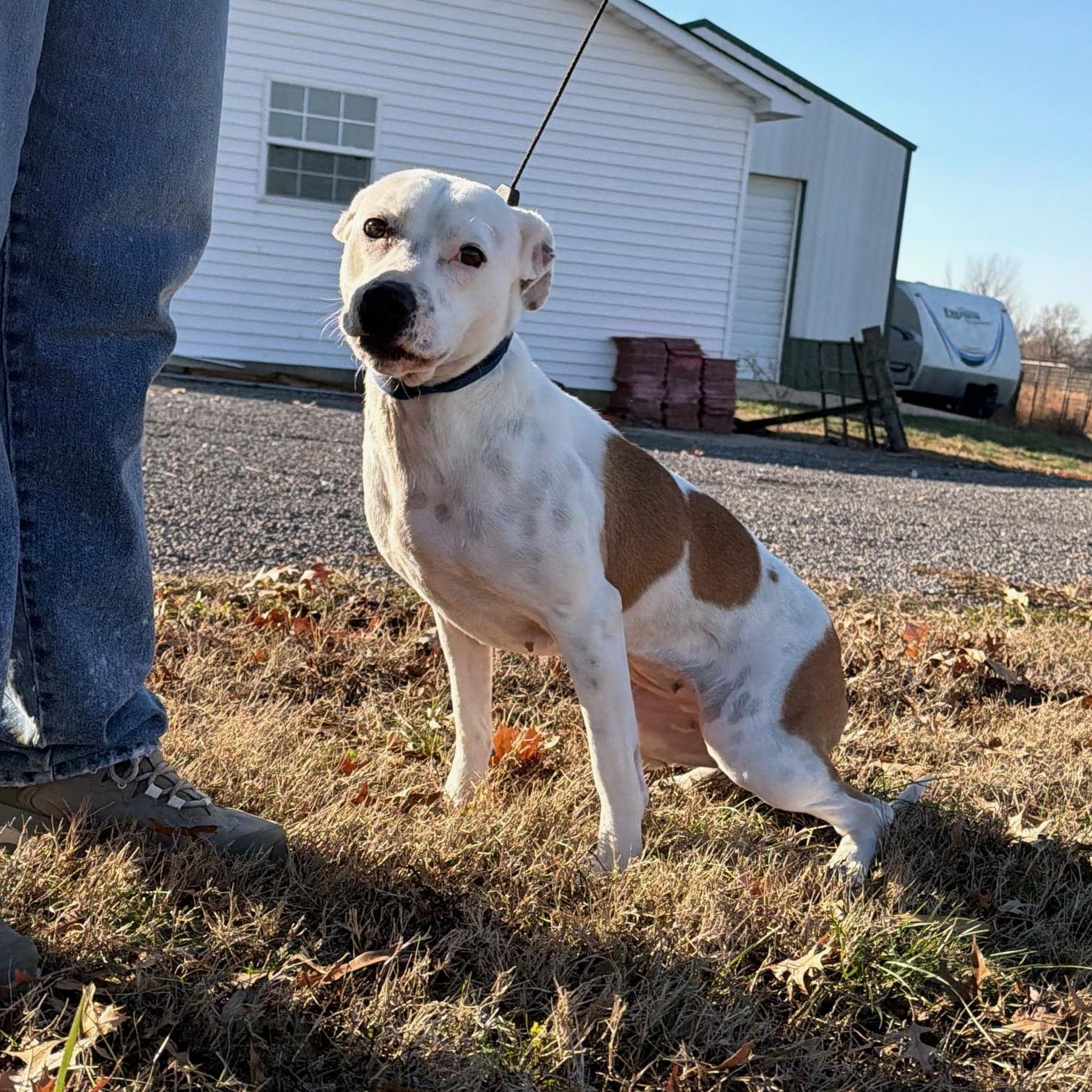 Lucy Diamond — thumbnail 2