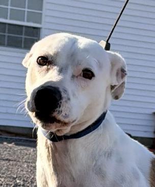 Lucy Diamond — thumbnail 3