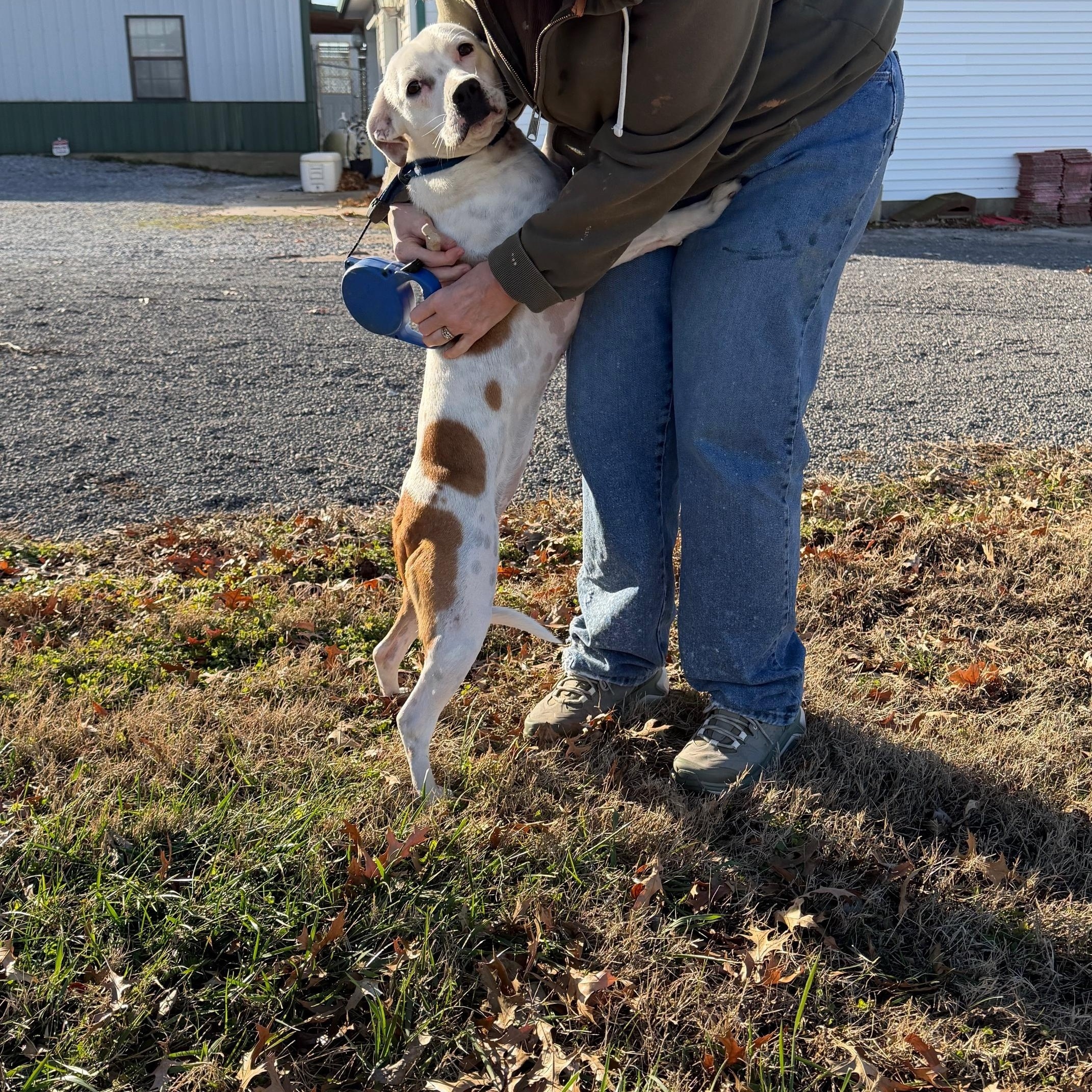 Lucy Diamond — thumbnail 4