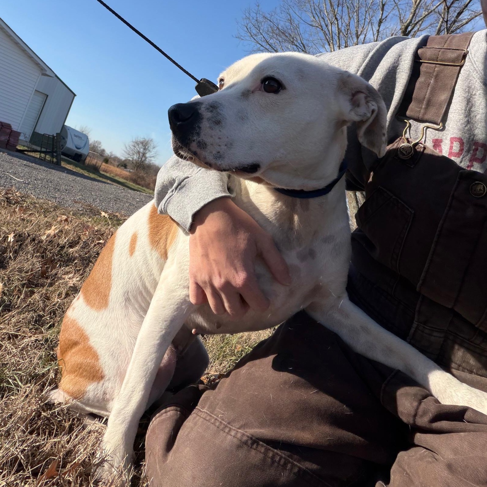 Lucy Diamond — thumbnail 5