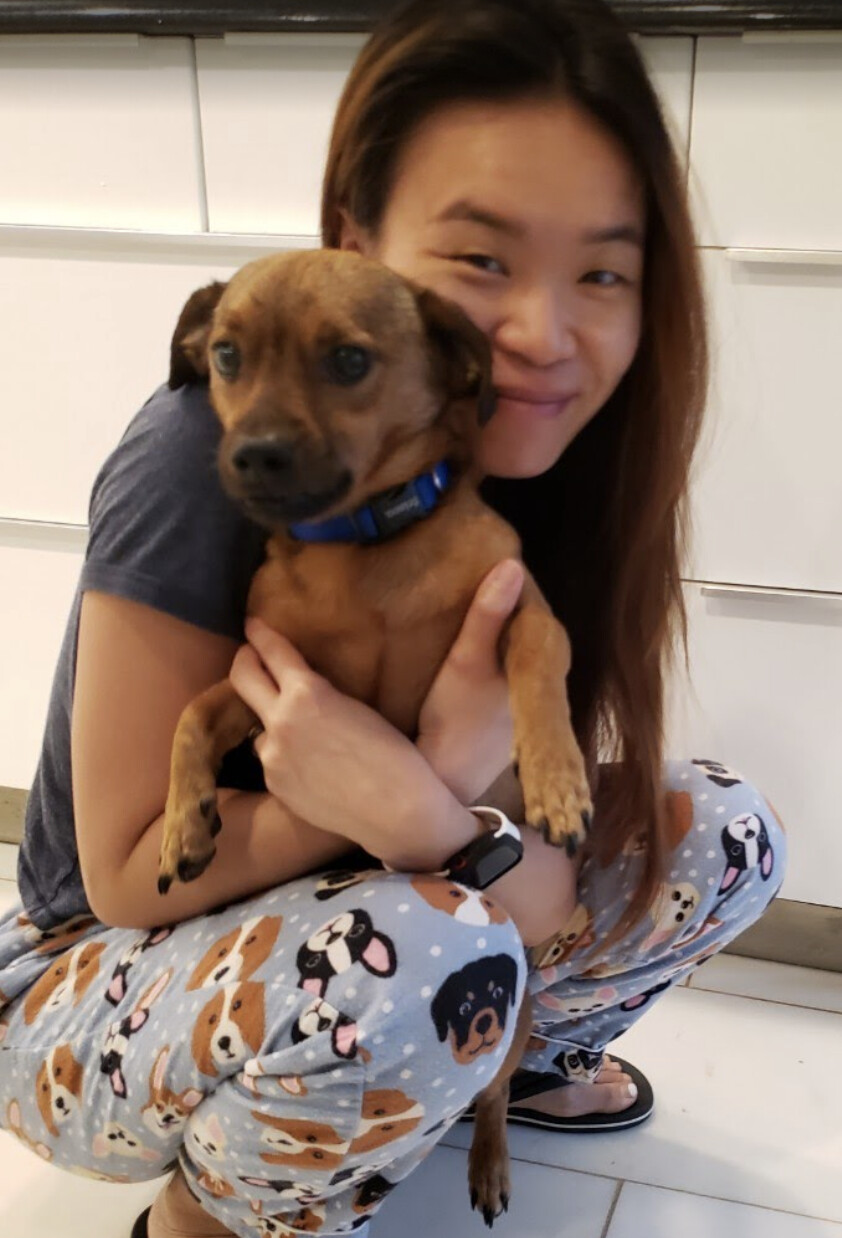 Lucas , a Adopted mixed breed in Potomac, MD image 4/6