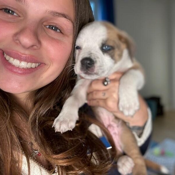 Guy Prince Perla — thumbnail 2