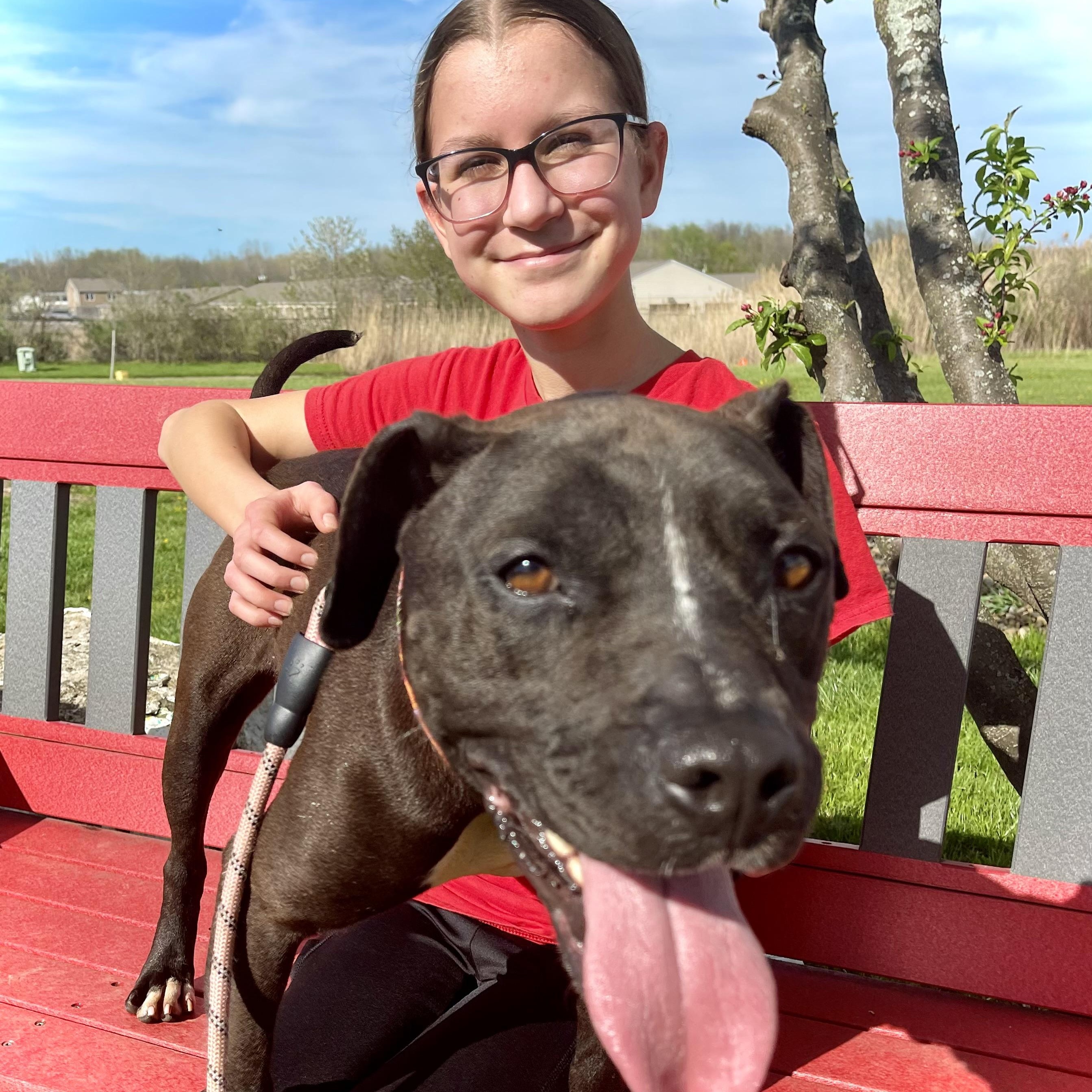 Enlarge Toots, a Adoptable Mixed Breed in Elyria, OH image 2/6