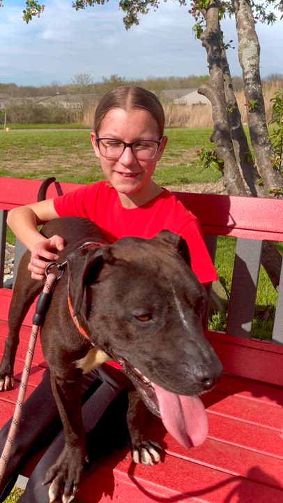 Enlarge Toots, a Adoptable Mixed Breed in Elyria, OH video 3/6