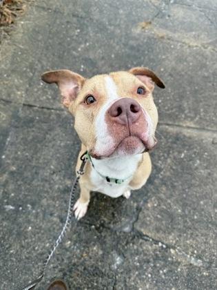 Mac Miller thumbnail 2