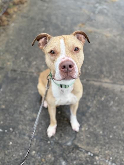 Mac Miller thumbnail 3