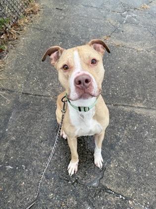 Mac Miller thumbnail 4