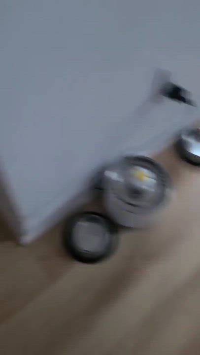 Enlarge Courage, a Adoptable Domestic Short Hair in Terrebonne, QC video 5/6