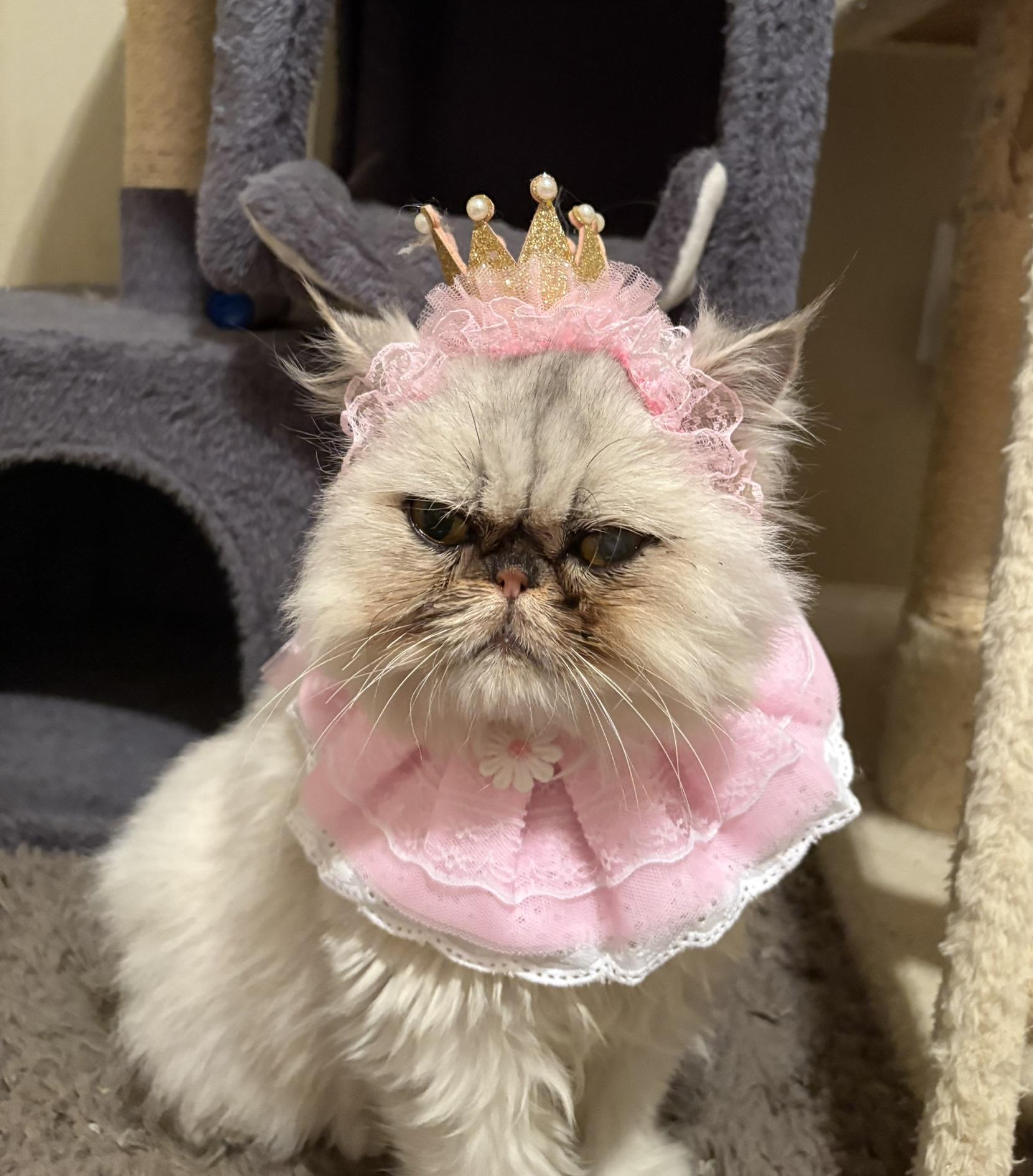 Princess