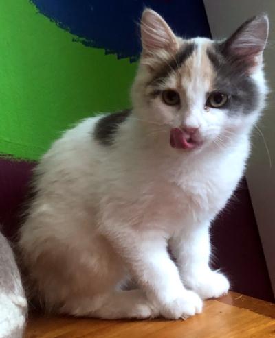 Prudence, Baby Female unknown