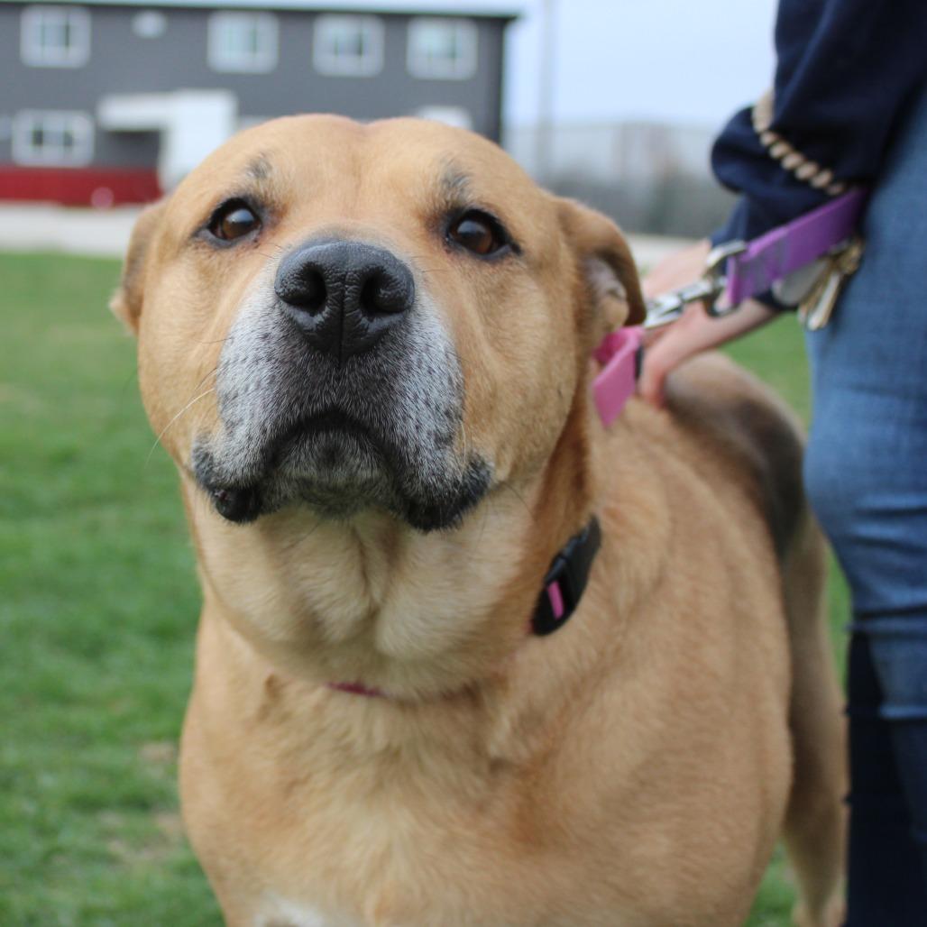 Tella Rose — thumbnail 3