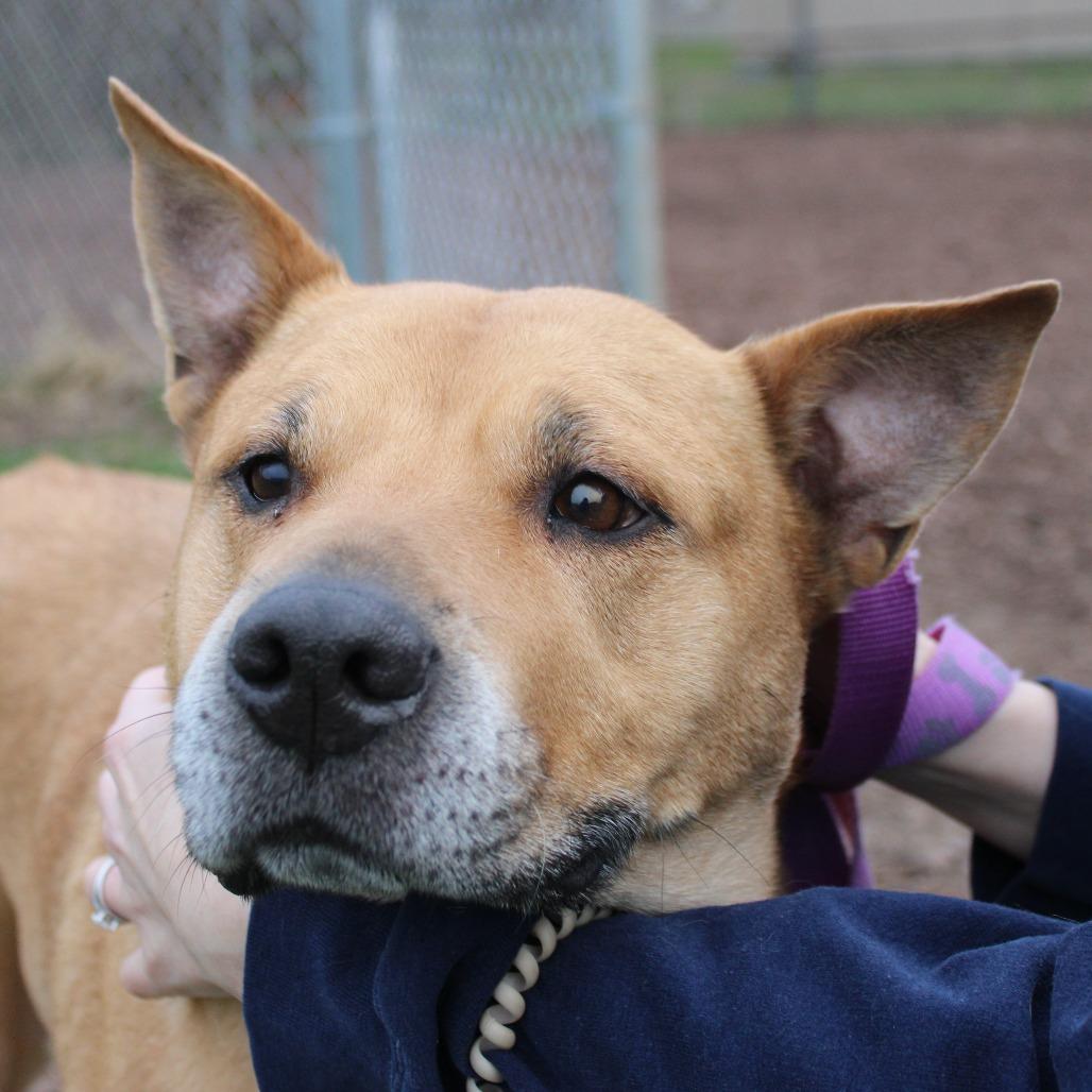 Tella Rose — thumbnail 4